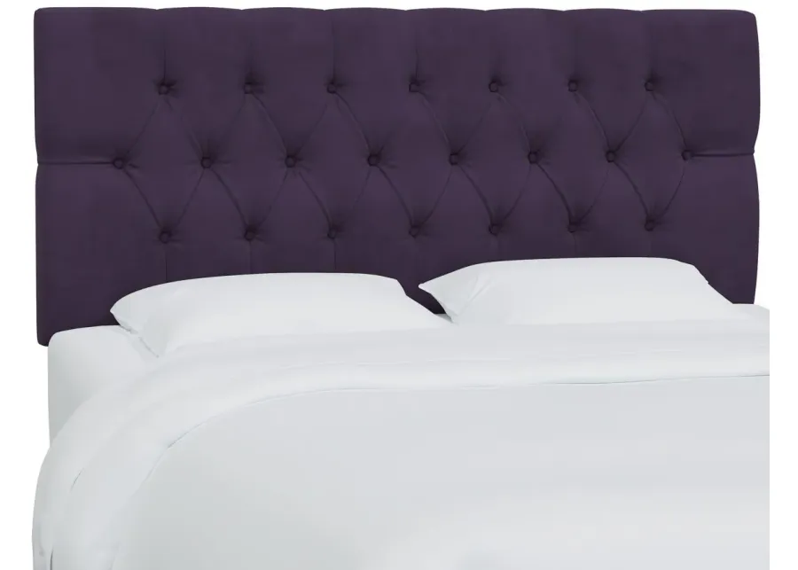 Blanchard Headboard in Velvet Aubergine by Skyline