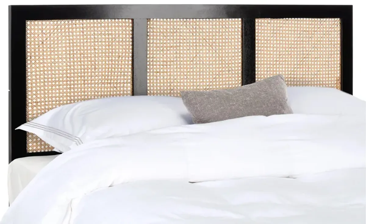 Vienna Cane Mounted Headboard in Black by Safavieh