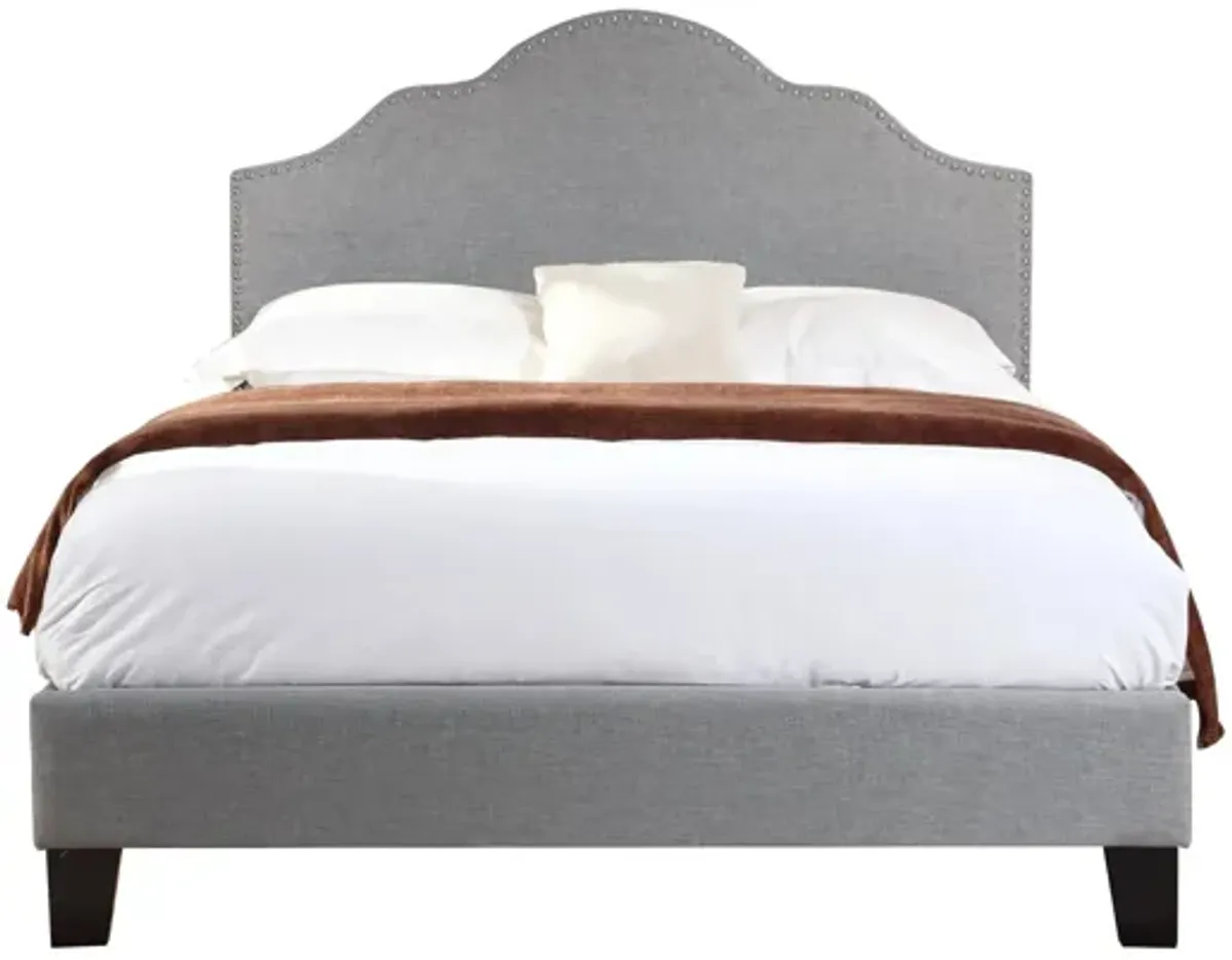 Holtzman Upholstered Bed