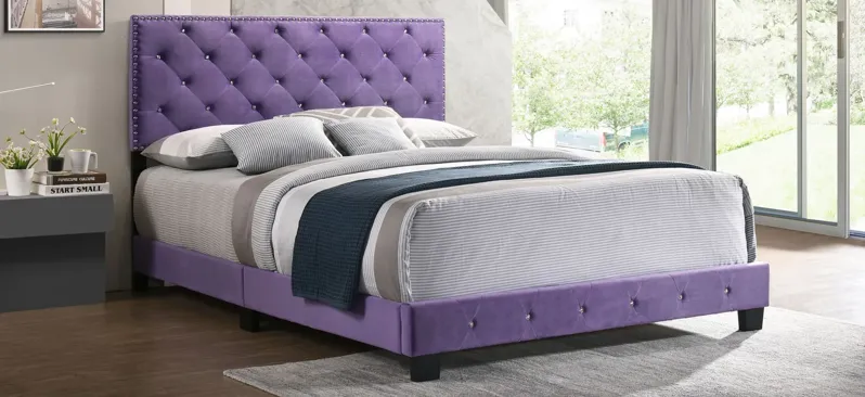 Suffolk Upholstered Full Panel Bed in Purple by Glory Furniture