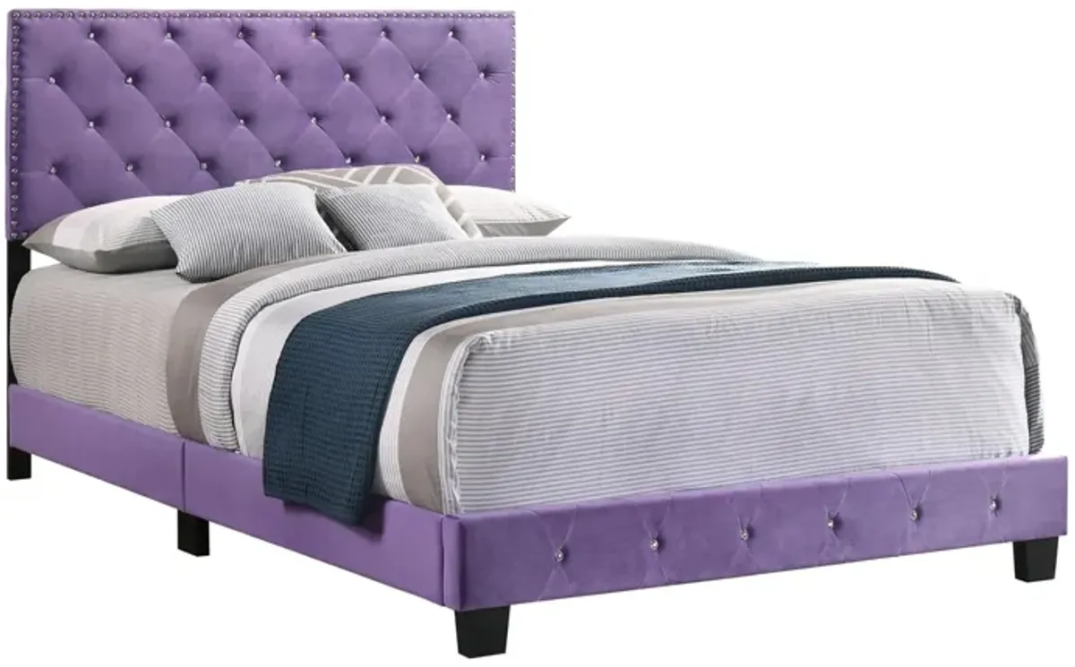 Suffolk Upholstered Full Panel Bed in Purple by Glory Furniture