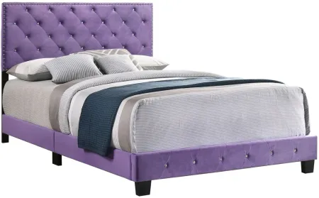 Suffolk Upholstered Full Panel Bed in Purple by Glory Furniture