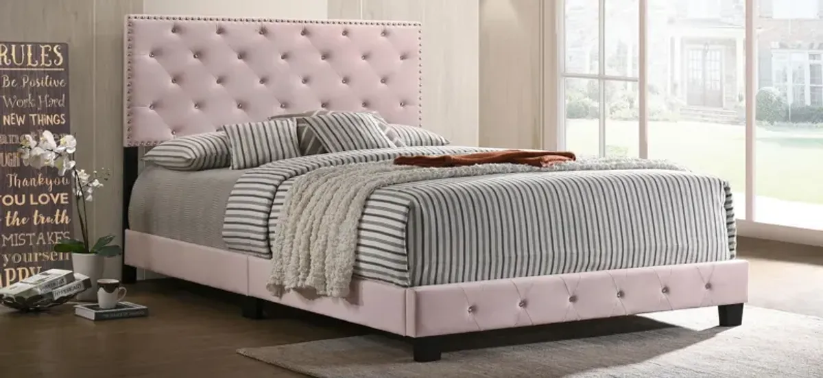 Suffolk Upholstered Panel Bed