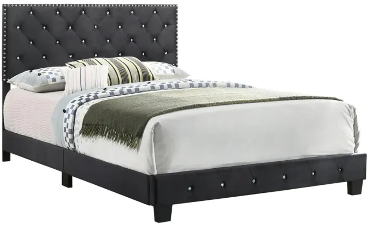 Suffolk Upholstered Panel Bed in Black by Glory Furniture