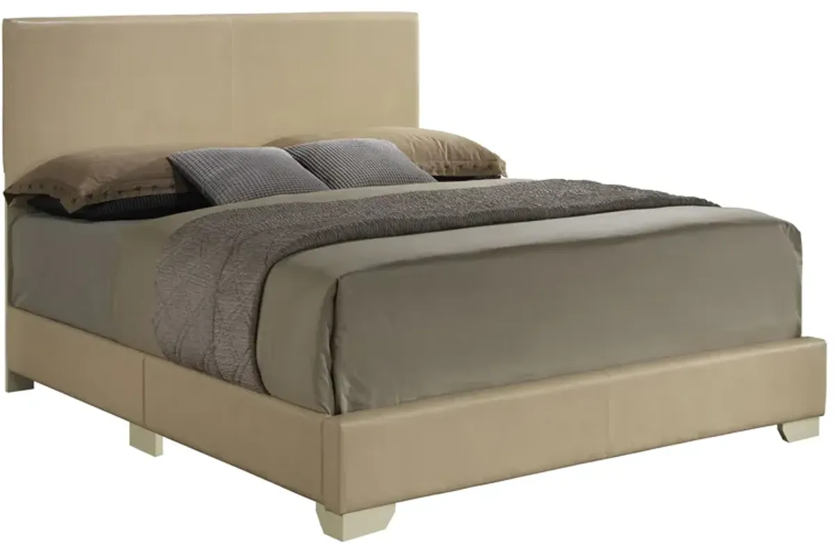 Aaron Upholstered Panel Bed