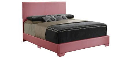Aaron Upholstered Panel Bed in Pink by Glory Furniture