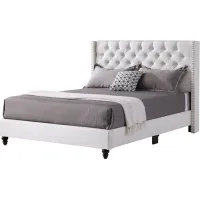 Julie Upholstered Panel Bed in White by Glory Furniture
