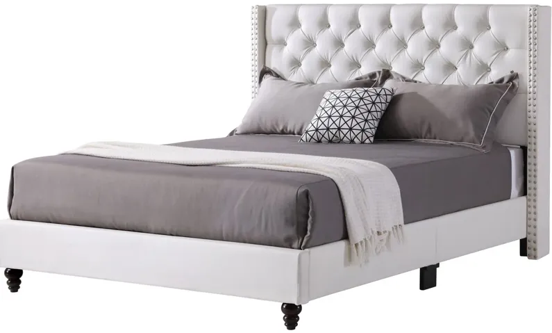 Julie Upholstered Panel Bed in White by Glory Furniture