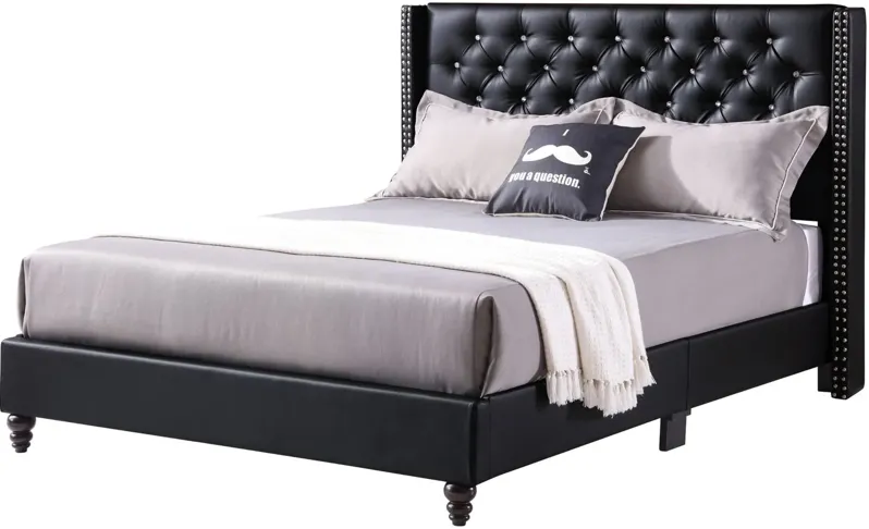 Julie Upholstered Panel Bed in Black by Glory Furniture