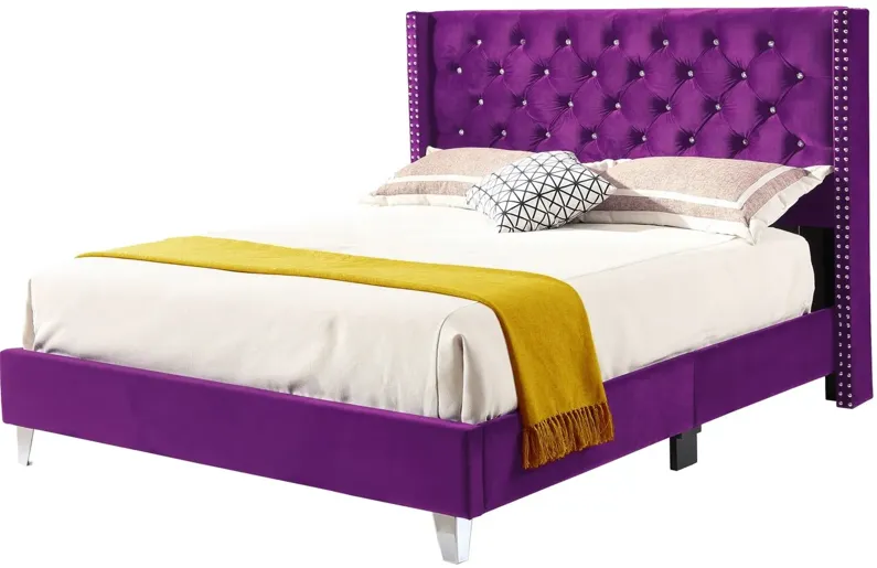 Julie Upholstered Panel Bed in Purple by Glory Furniture by Raymour & Flanigan