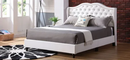 Joy Upholstered Panel Bed in White by Glory Furniture