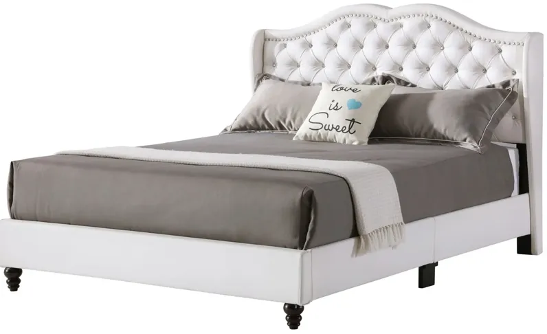 Joy Upholstered Panel Bed in White by Glory Furniture