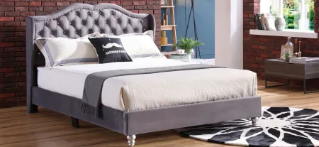 Joy Upholstered Panel Bed in Gray by Glory Furniture