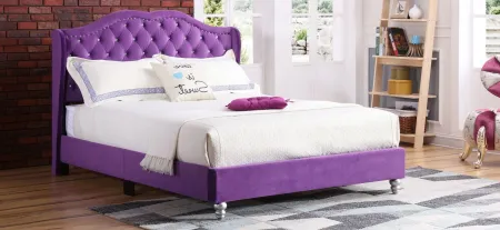 Joy Upholstered Panel Bed in Purple by Glory Furniture