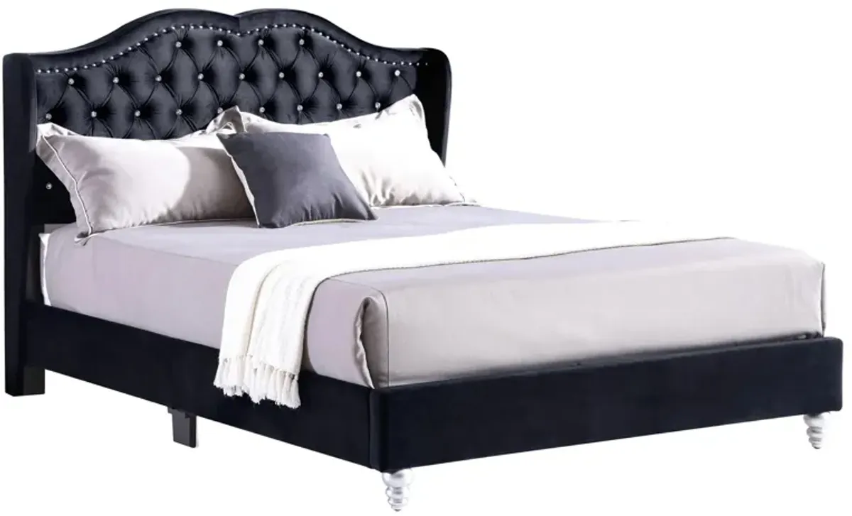 Joy Upholstered Panel Bed in Black by Glory Furniture