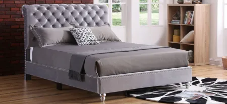 Maxx Upholstered Sleigh Bed in Gray by Glory Furniture