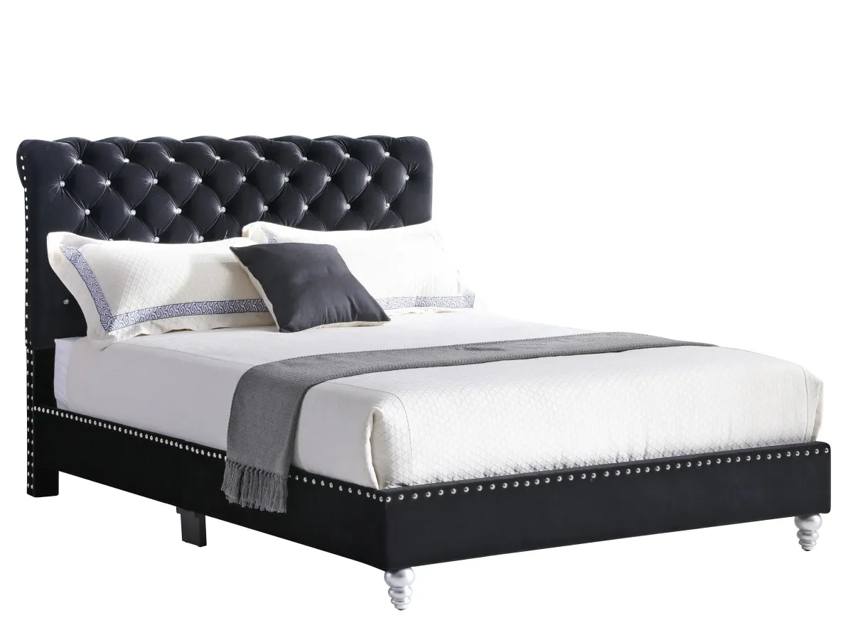 Maxx Upholstered Sleigh Bed in Black by Glory Furniture