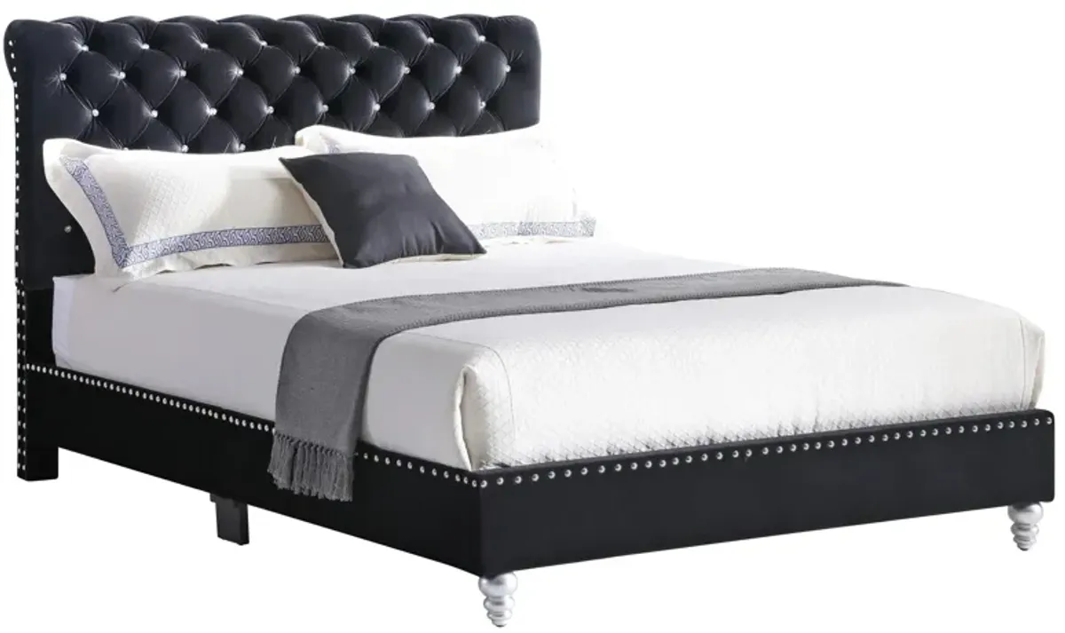 Maxx Upholstered Sleigh Bed