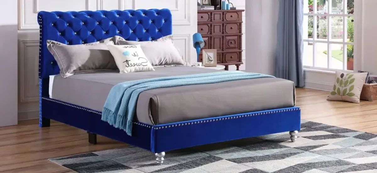 Maxx Upholstered Sleigh Bed