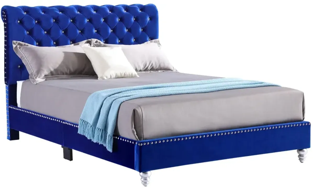 Maxx Upholstered Sleigh Bed