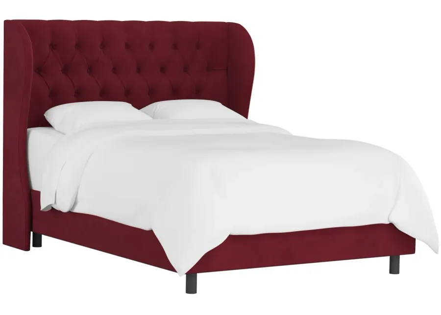 Thayer Wingback Bed in Velvet Berry by Skyline