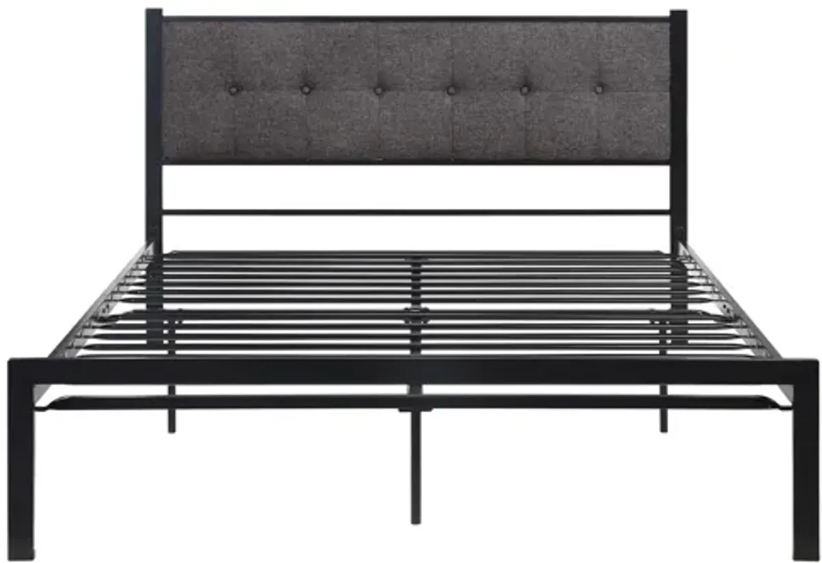 Faustina Metal Platform Bed