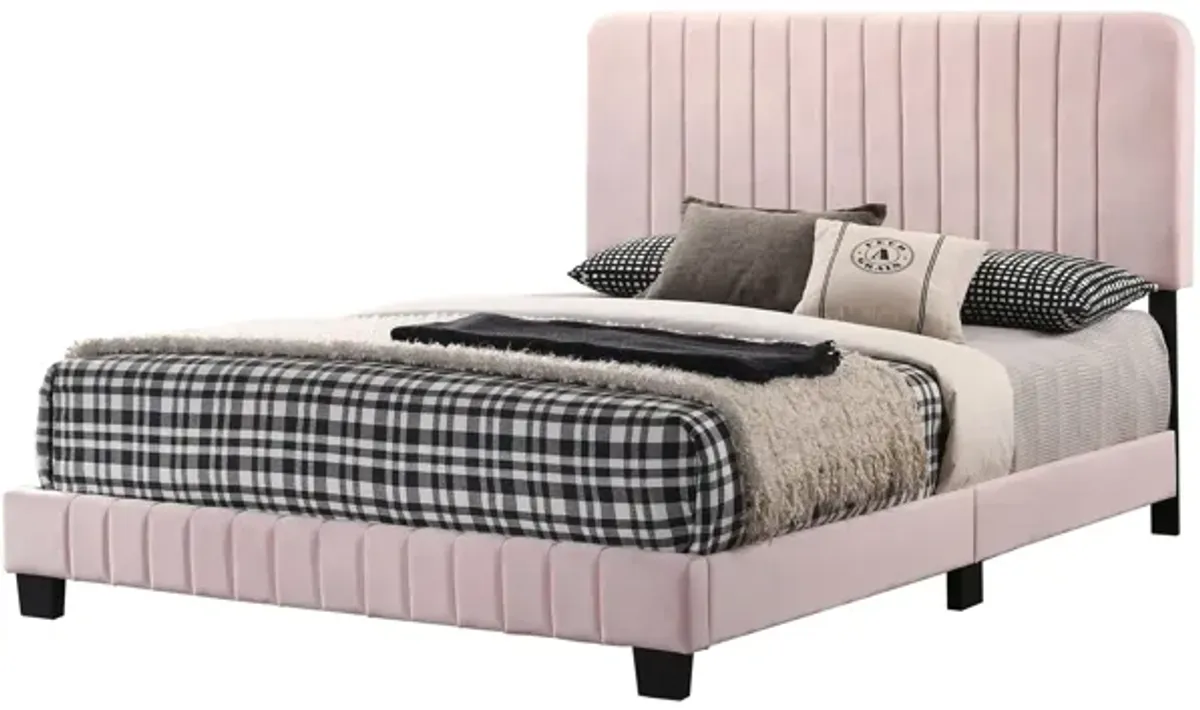 Lodi Upholstered Panel Bed