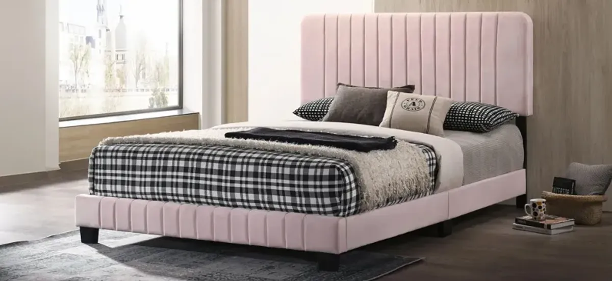 Lodi Upholstered Panel Bed