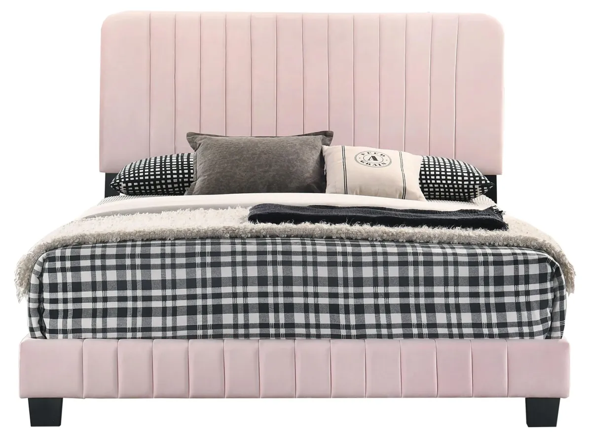 Lodi Upholstered Panel Bed in Pink by Glory Furniture