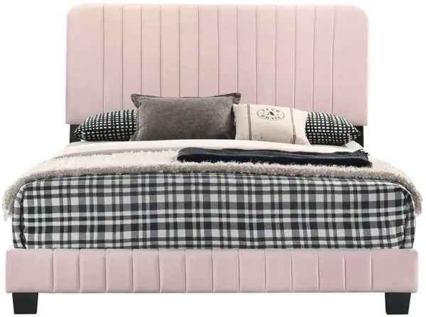 Lodi Upholstered Panel Bed