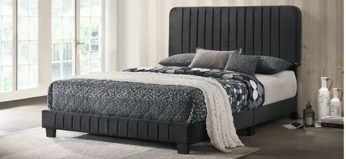 Lodi Upholstered Panel Bed