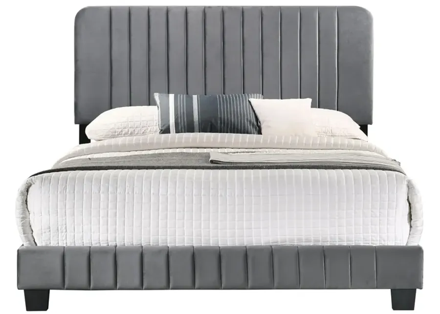 Lodi Upholstered Panel Bed in Gray by Glory Furniture