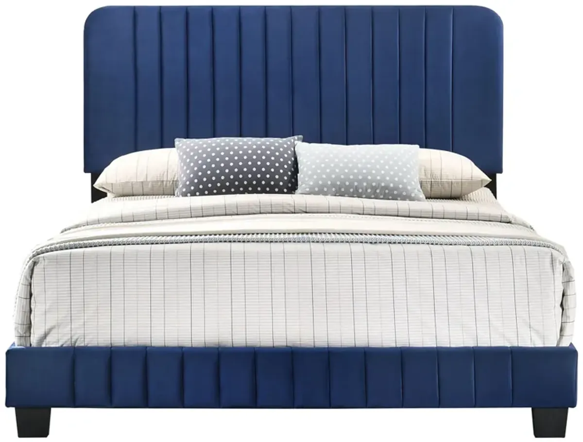 Lodi Upholstered Panel Bed in Navy Blue by Glory Furniture