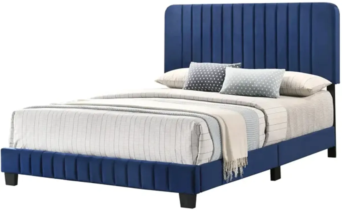 Lodi Upholstered Panel Bed