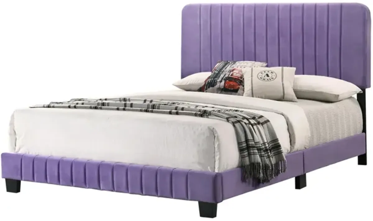 Lodi Upholstered Panel Bed