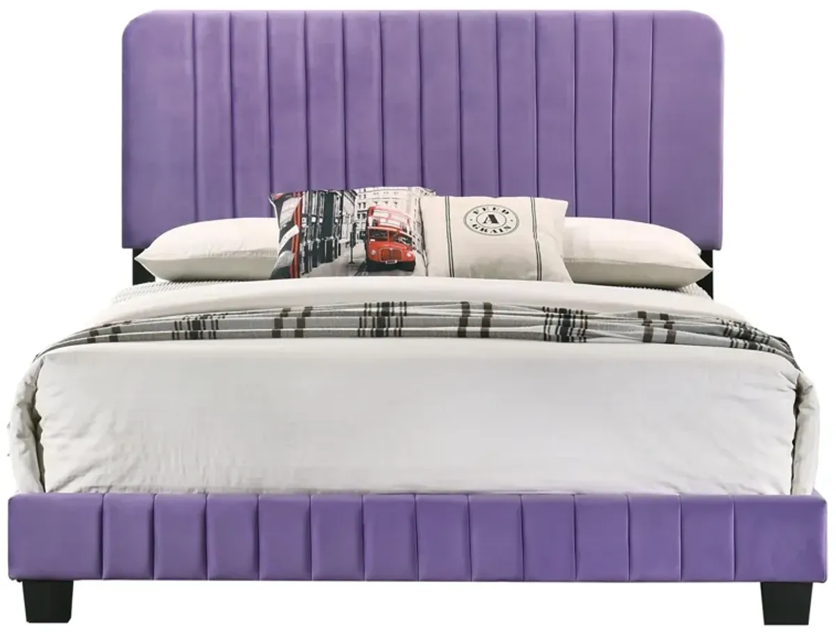 Lodi Upholstered Panel Bed in Purple by Glory Furniture