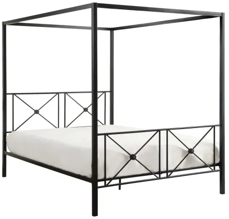 Gable Canopy Platform Bed in Black by Homelegance