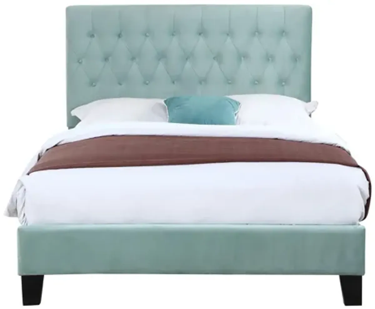 Contreras Upholstered Bed in Light Blue by Emerald Home Furnishings