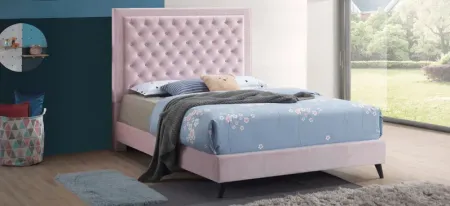 Alba Upholstered Panel Bed in Pink by Glory Furniture