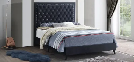 Alba Upholstered Panel Bed in Black by Glory Furniture