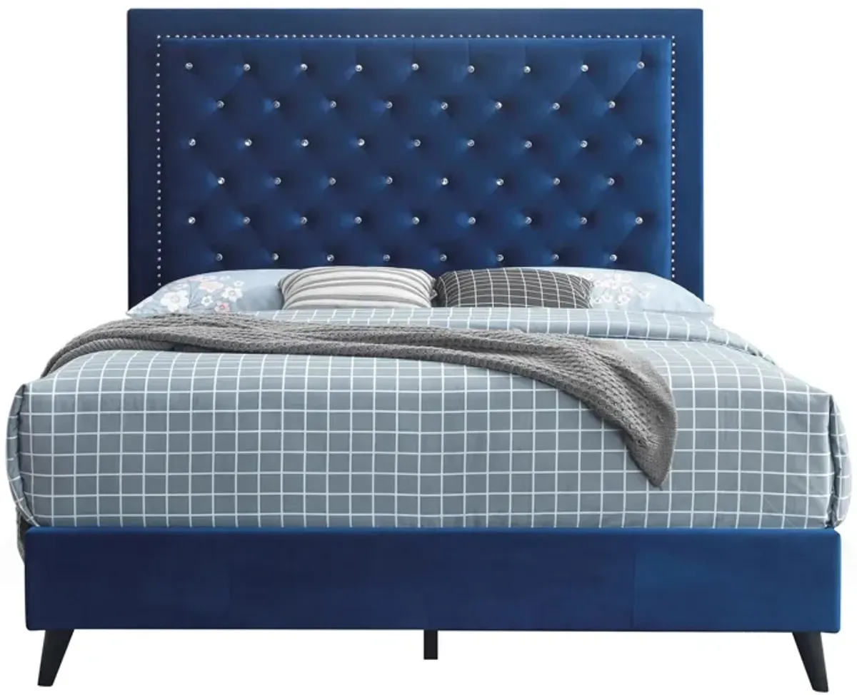 Alba Upholstered Panel Bed in Navy Blue by Glory Furniture