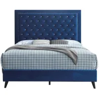 Alba Upholstered Panel Bed in Navy Blue by Glory Furniture