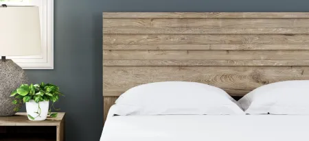 Oliah Panel Headboard in Natural by Ashley Express