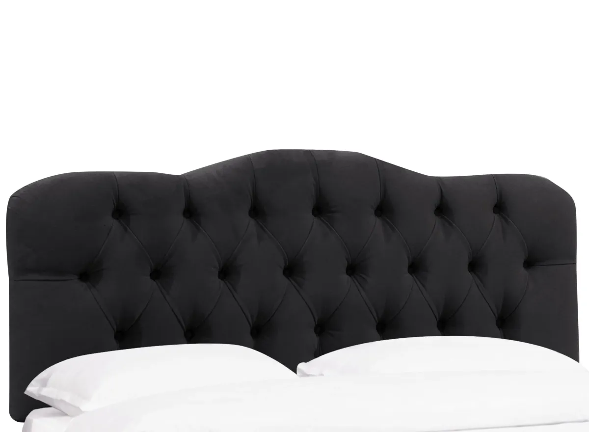 Argona Headboard in Velvet Black by Skyline