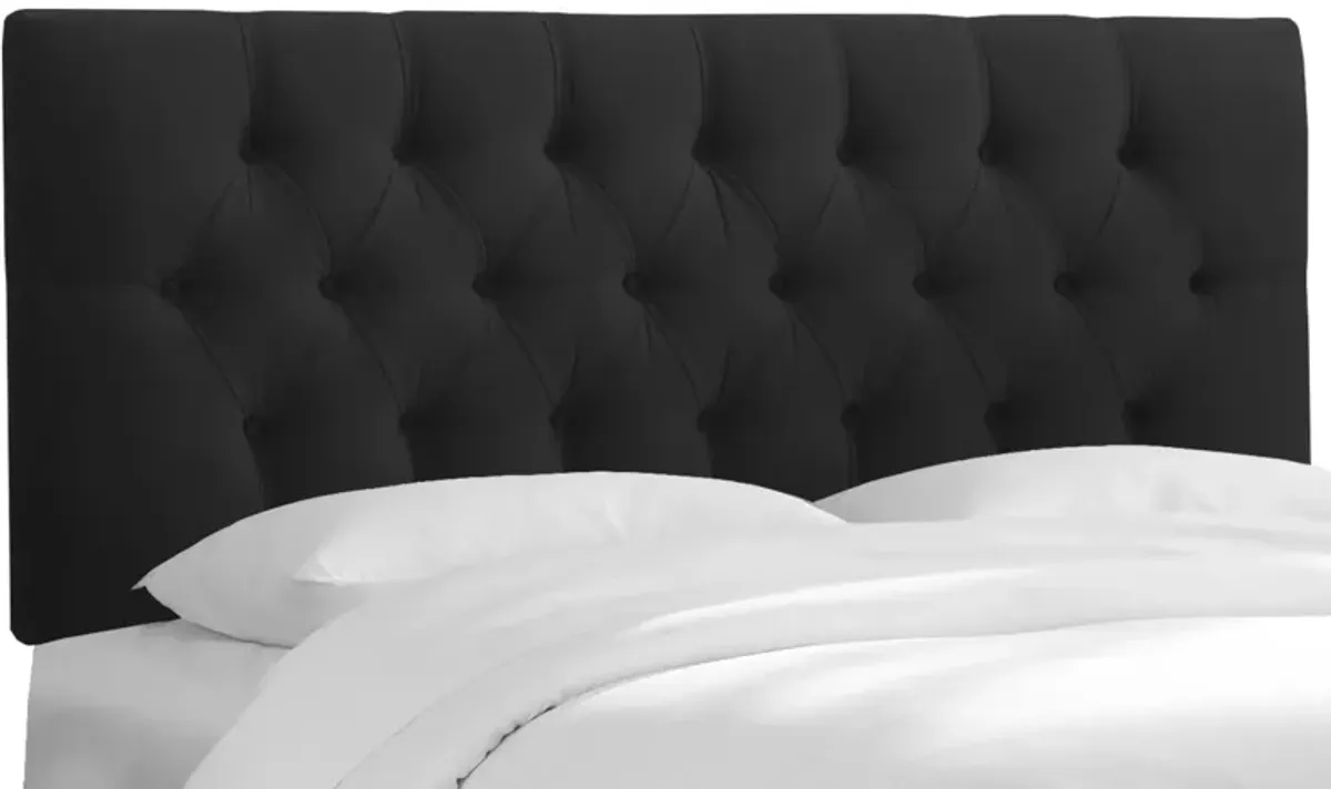 Blanchard Headboard