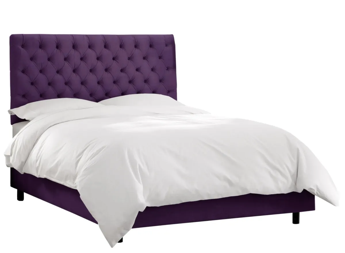 Queensbury Bed in Velvet Aubergine by Skyline