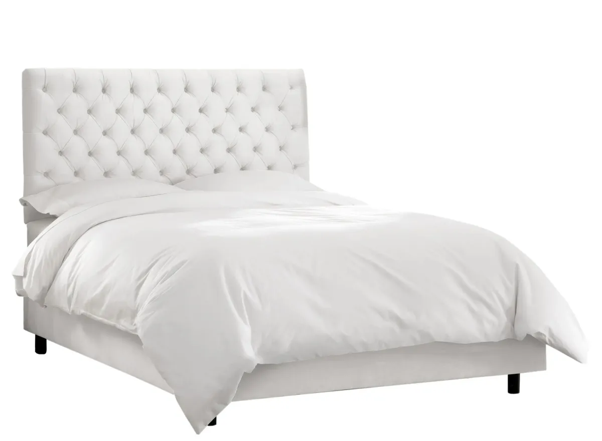 Queensbury Bed in Velvet White by Skyline