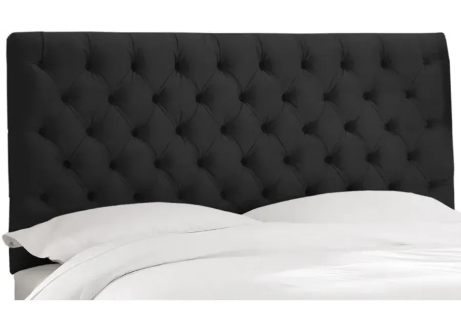 Queensbury Headboard in Velvet Black by Skyline