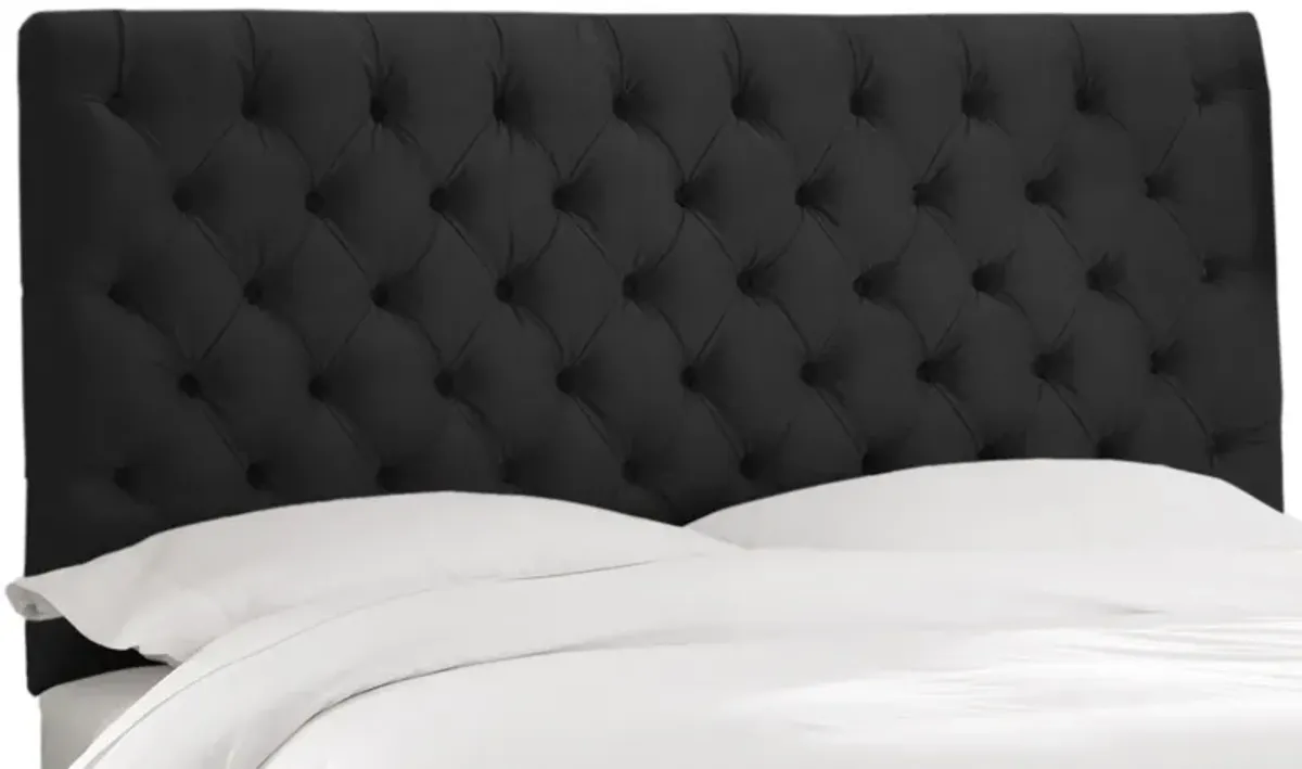 Queensbury Headboard in Velvet Black by Skyline