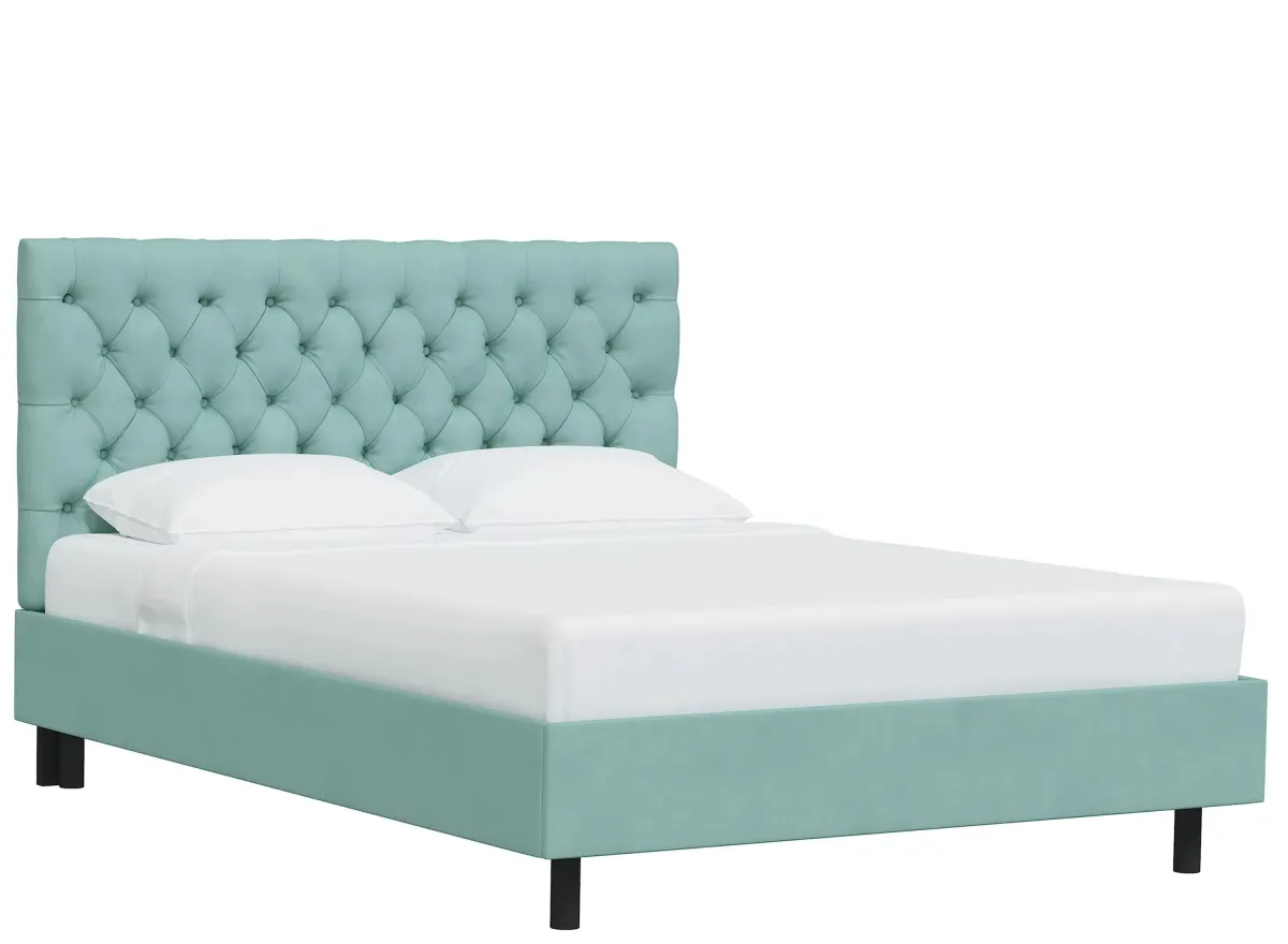 Queensbury Platform Bed in Velvet Caribbean by Skyline